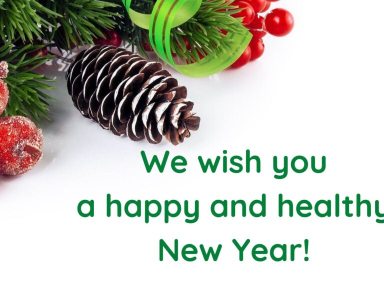 We-wish-you-a-happy-and-healthy-New-Year